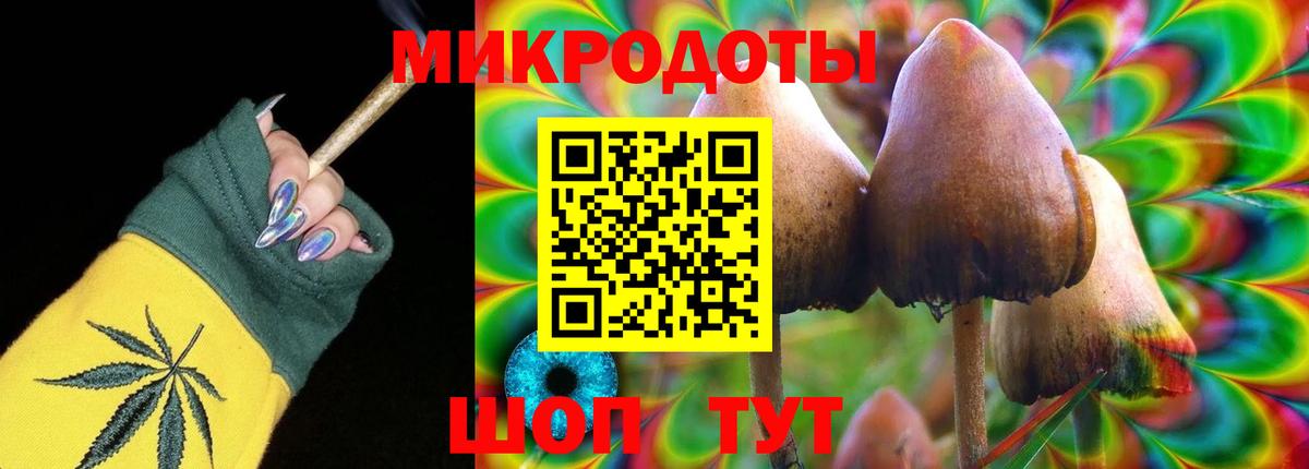 Псилоцибиновые грибы Magic Shrooms  Вход с VPN  Верхняя Пышма 
